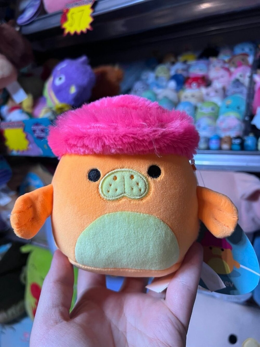 Squishmallow Barkev the manatee / seacow with hat NWT 5” plush HTF neon squad